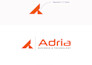 brand logo design with brand style guide